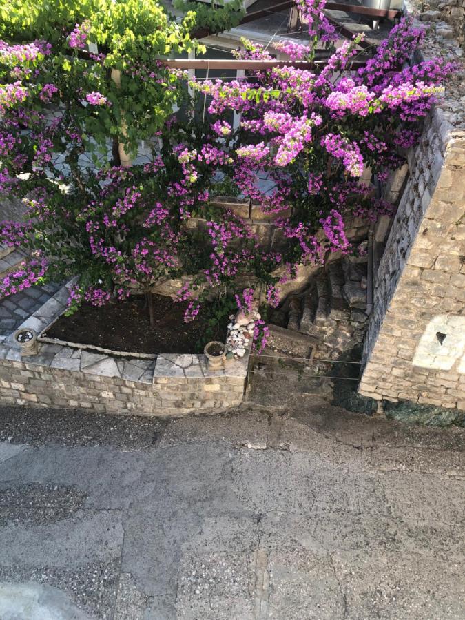 Apartments Rafailovic Ljubo Rafajlovići Dış mekan fotoğraf