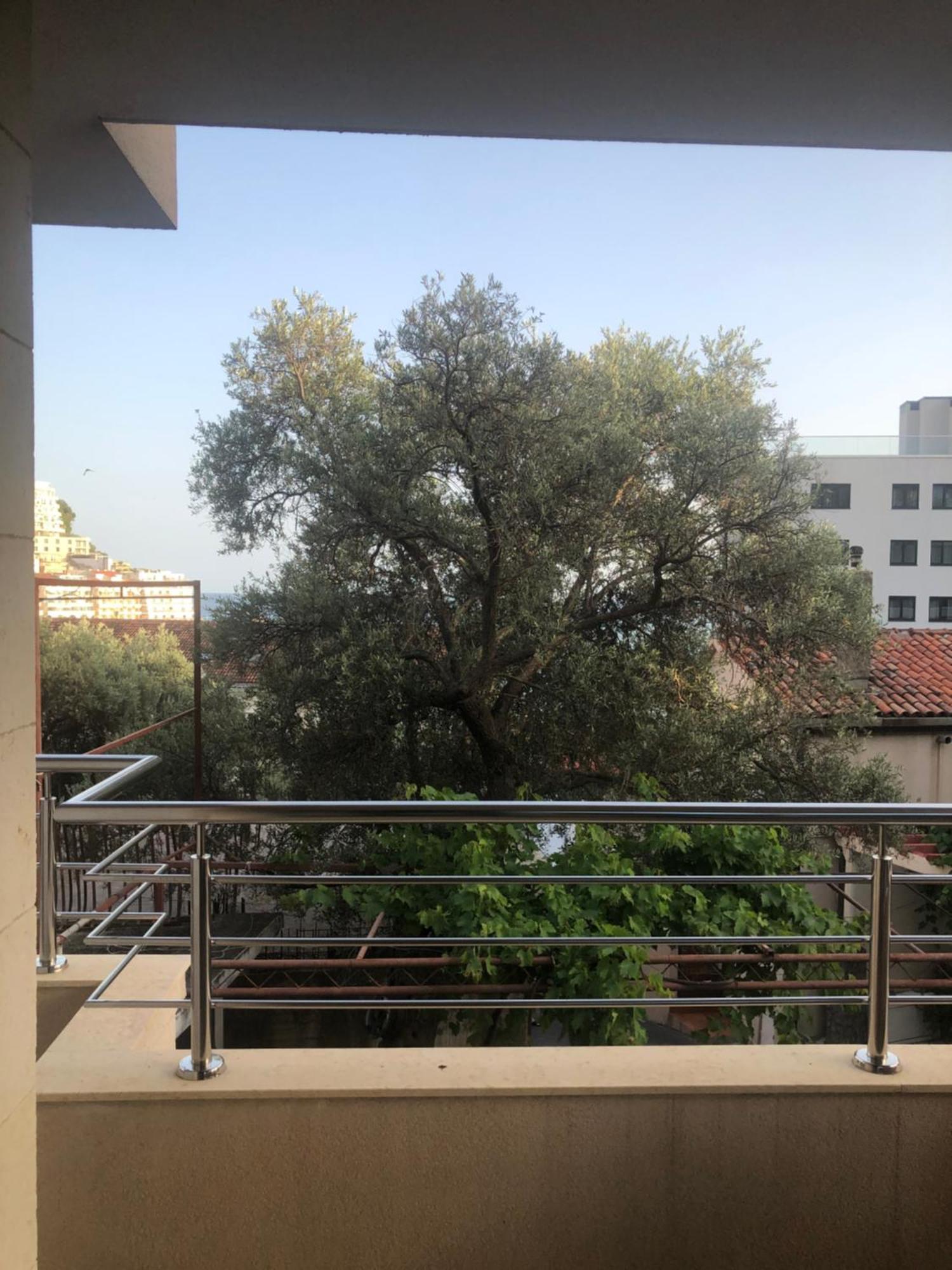 Apartments Rafailovic Ljubo Rafajlovići Dış mekan fotoğraf